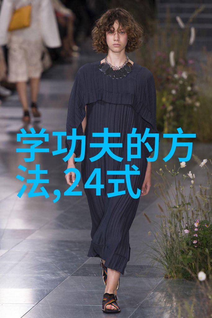 太极拳口诀之谜解析探索24式的内在奥秘