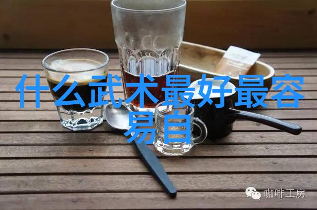 太极24式解析揭秘正面与背面的对应技巧与哲学
