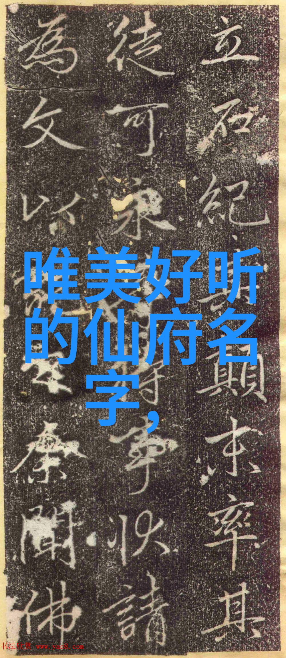 掌握精妙揭秘拳法十六招式的艺术与实用