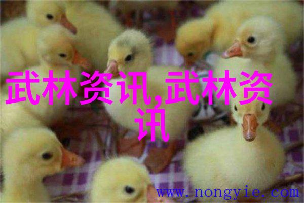 李小龙武术秘籍影子中的力量