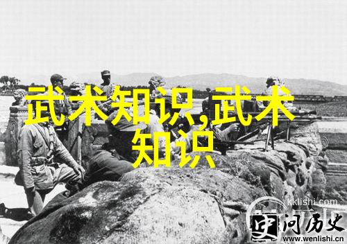 太极24式分解式静中见动动中见静