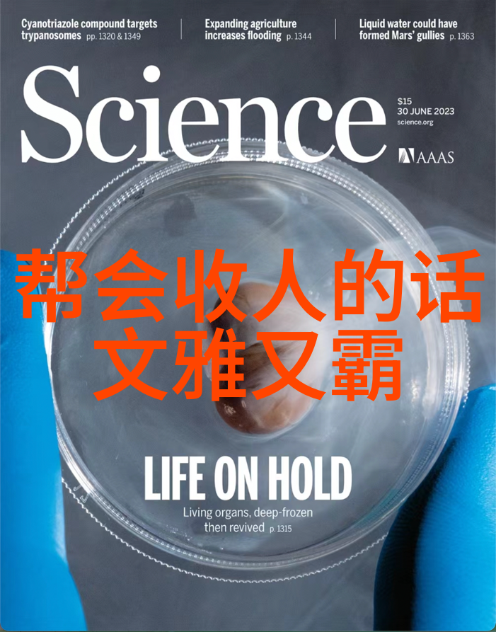 羽毛球世界冠军的双手李宁N80II拍子的传奇评测