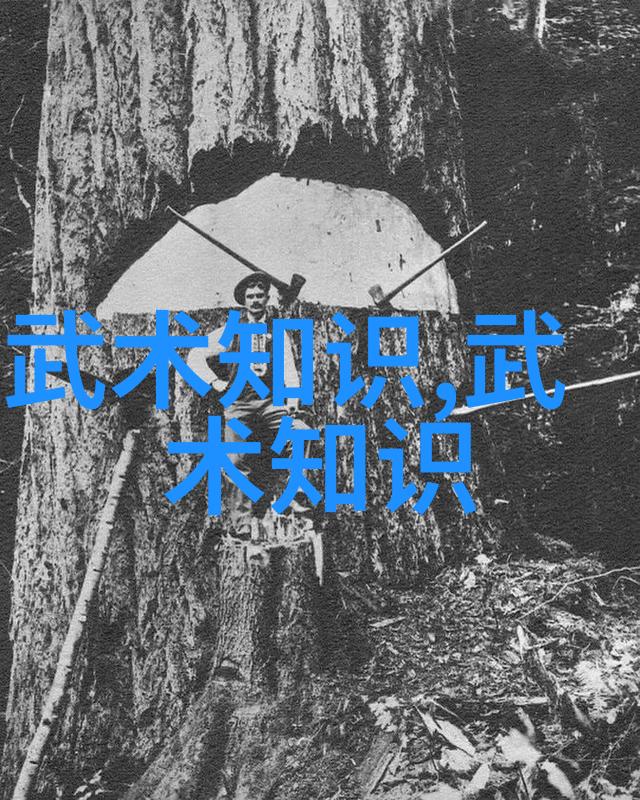 主题 - 诗意帮派的征途铭记岁月中的盟誓