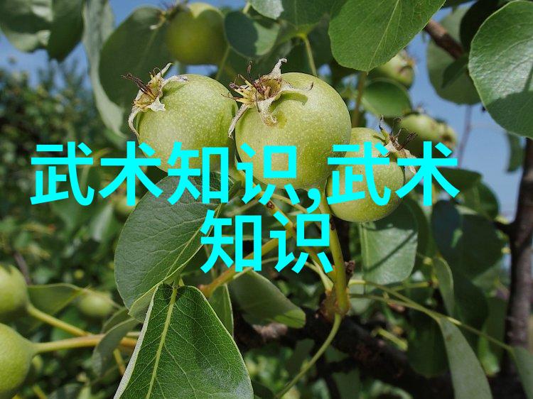初学武术套路拳法站桩的重要意义
