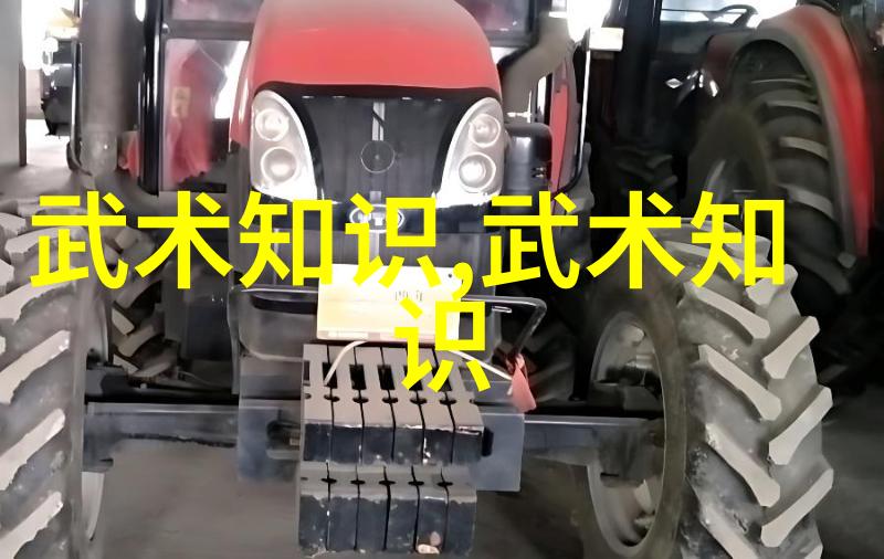 武术技巧-揭秘十三式太极拳分解动作探索内家拳法的精髓