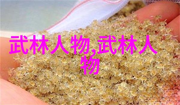 简化24式太极拳分解教学-张宝银