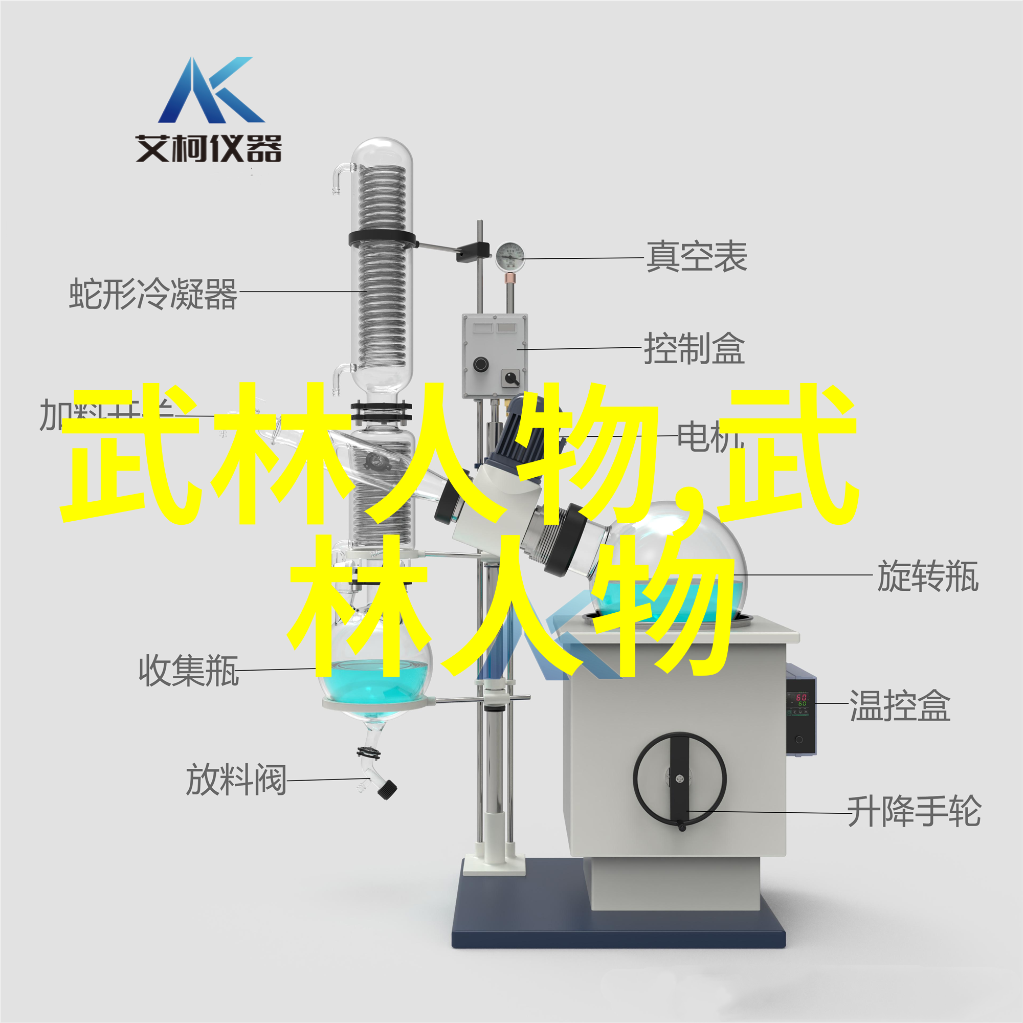不羁如我独行侠路现代女英雄与古老门派的融合故事