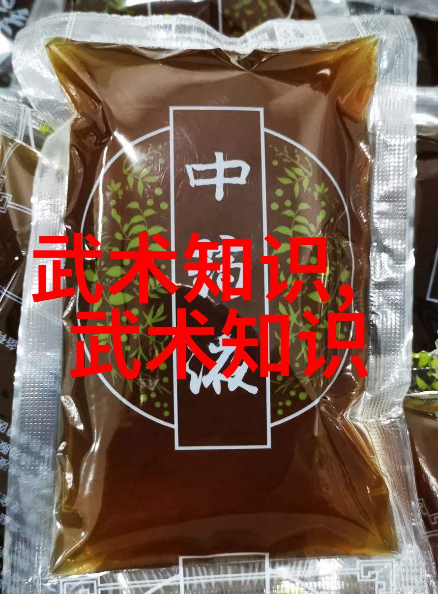 十三式太极拳分解动作深入探究古典武术中的内外合一