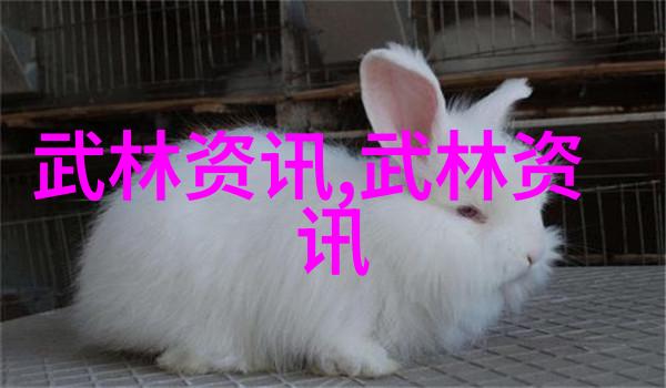 霸道雄鹰帮派统领夜幕下的风云变幻