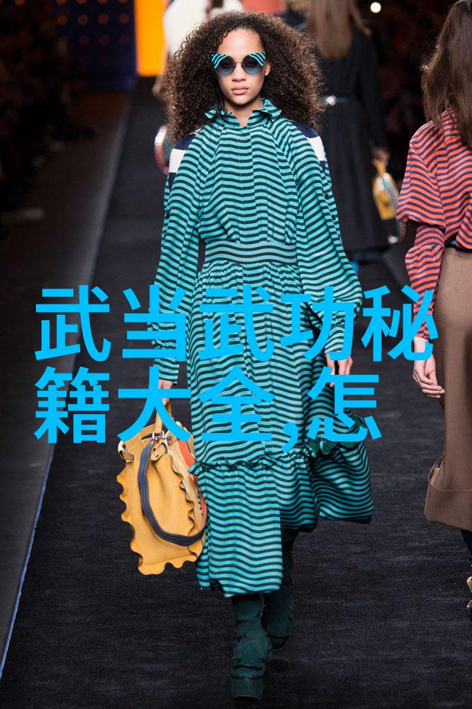 中国武术-揭秘中国武术的拳法之多探索千年传承中的各种风格