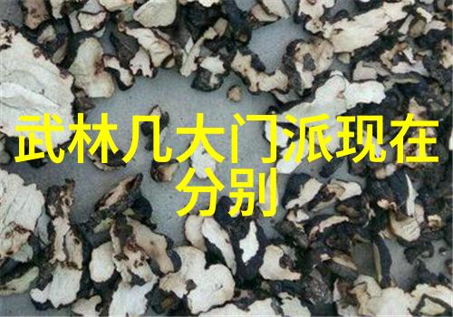 一生一世美人骨男女主角初遇之恋