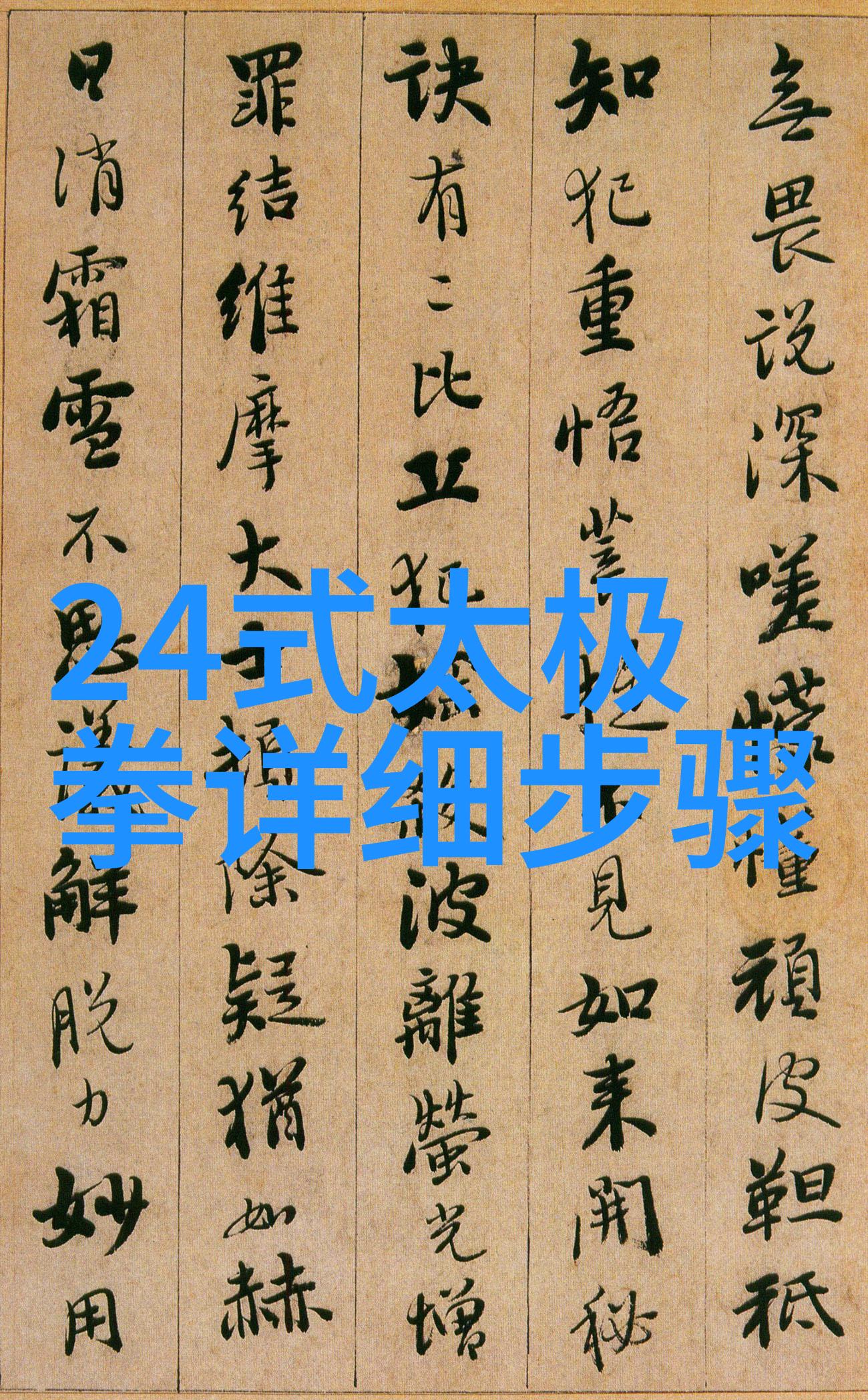 武术与危险-掌门人之谜会武术的人很危险