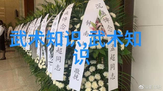 太极拳24式中的推手技巧提高实战能力的关键要领