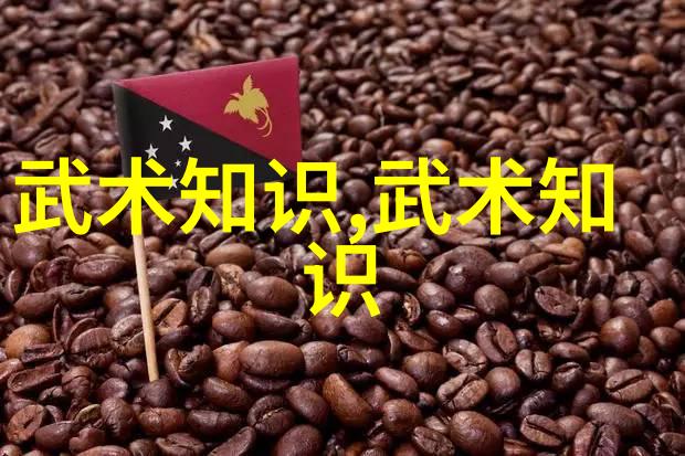 数据驱动太极24式全解正面背面技法详析