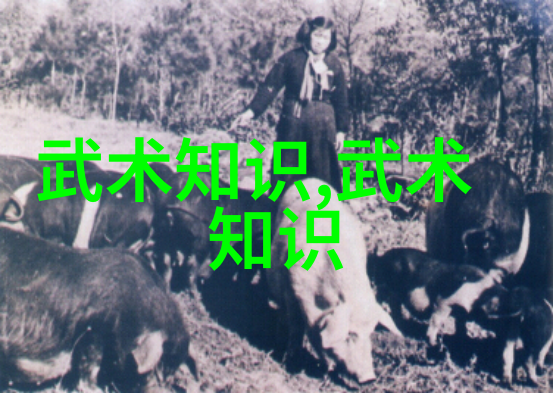 刀神教武林中以精湛的刀法著称的秘密门派