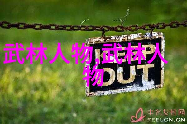 武林门派掌门之问南拳功夫的主人公