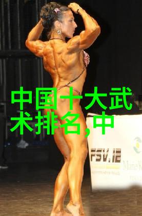 中国武术遗产评析揭秘十大流派之冠