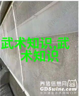 古龙四大绝世神功研究探索武侠世界中的内丹修炼哲学