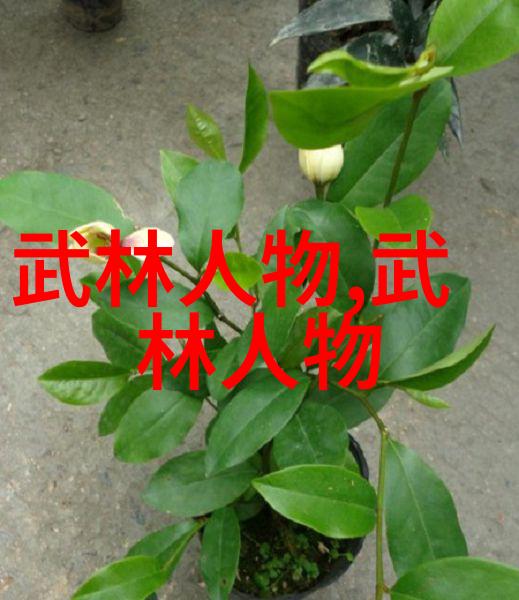错孕逃妃逆袭的传奇之旅