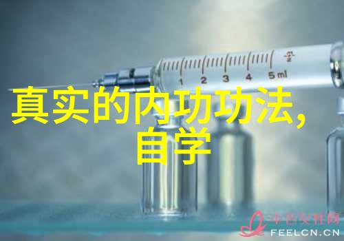 诗意剑门三皇炮锤拳江湖人物展现力量之作