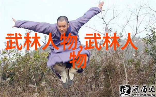 中国武术秘籍研究解读古代武学典籍的文化与实践价值