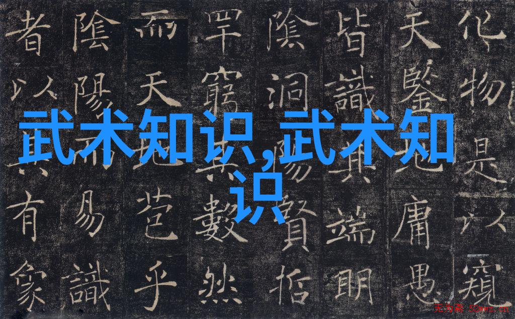 掌握精髓简化24式太极拳分解教学手法全解