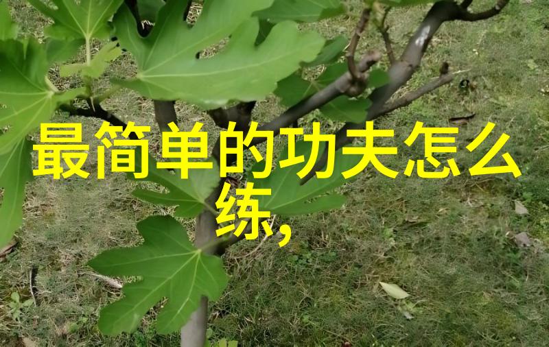 王者之战2022寒冬黑坑大赛精准钓驴技巧大揭秘