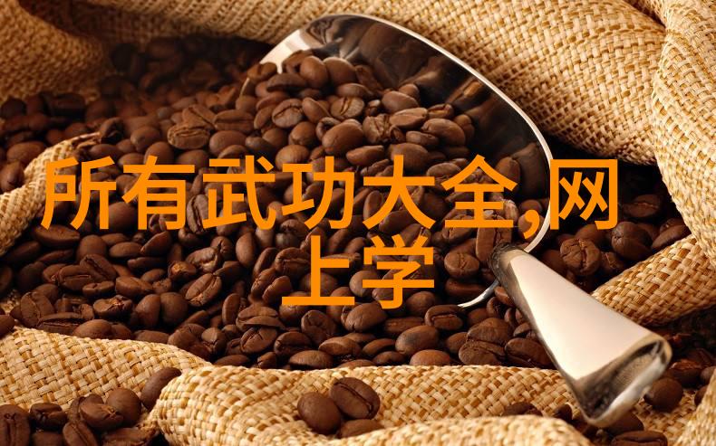 武功秘籍大全探索古代拳法技巧与图像解析