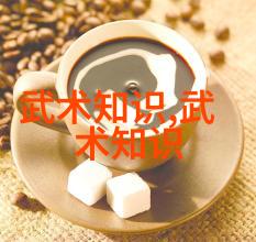 武术活动名称大全 - 中华武林辉煌探索传统与现代武术活动的丰富多彩
