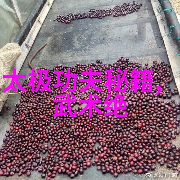 太极拳24式分解动作教学揭秘内外八卦与运气法则