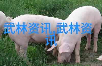 寻踪隐世解密十部历史上最神秘的武功典籍