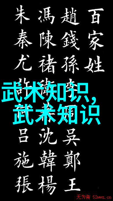 武当游氏丹道太极拳全国129门派名单武林秘籍全集