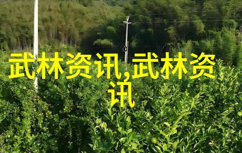 你知道吗48式太极拳全套视频带口令其实和书画有啥关系呢