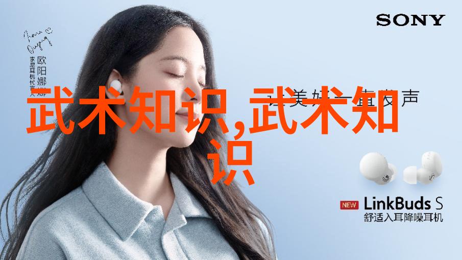 黔南幽境探秘古老武林门派