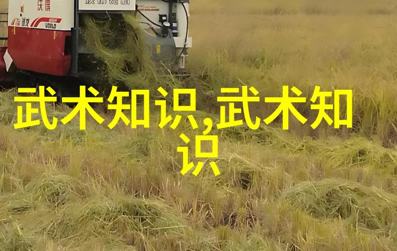 金庸小说武林门派江湖中的英雄们