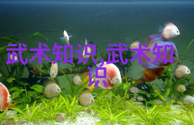 中国武术的宝库古老技艺与现代精髓