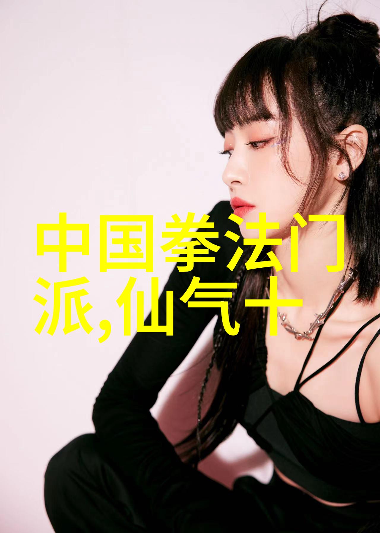 武林秘籍全国各大武术门派的全面盘点