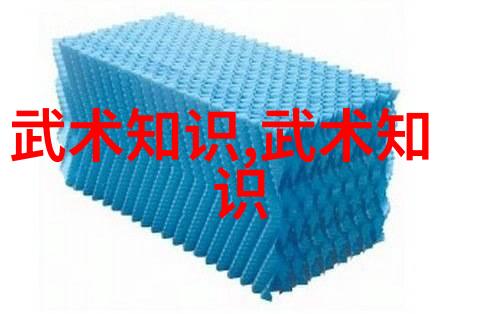 太极拳推手黏法秘诀十二绝技 - 张宝银