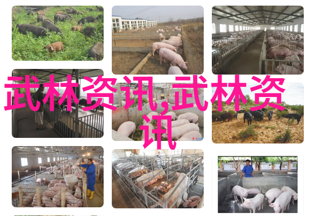 仙气飘飘的家族名字-云游天涯探秘那些悠扬家族的神秘姓名