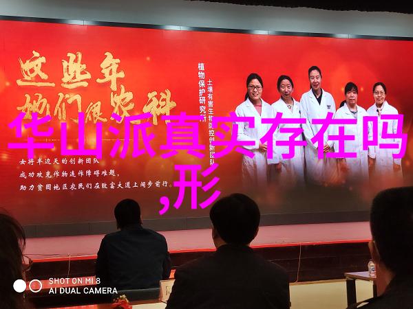 中国武术门派之旅揭秘古老技艺的魅力