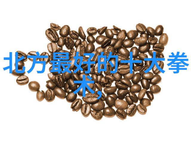 中国武术辉煌探秘十大巅峰技艺