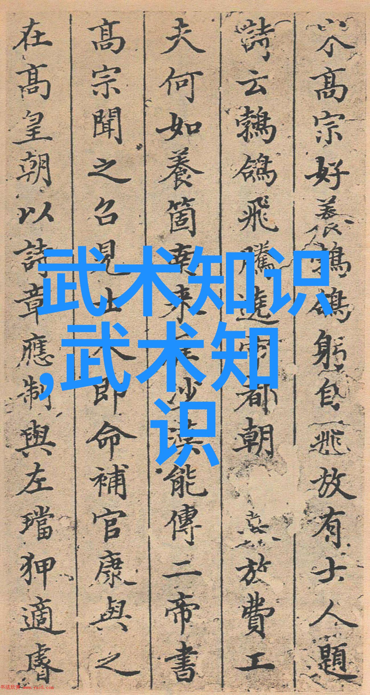 追逐梦想穿越仙气飘飘的宗门篇章
