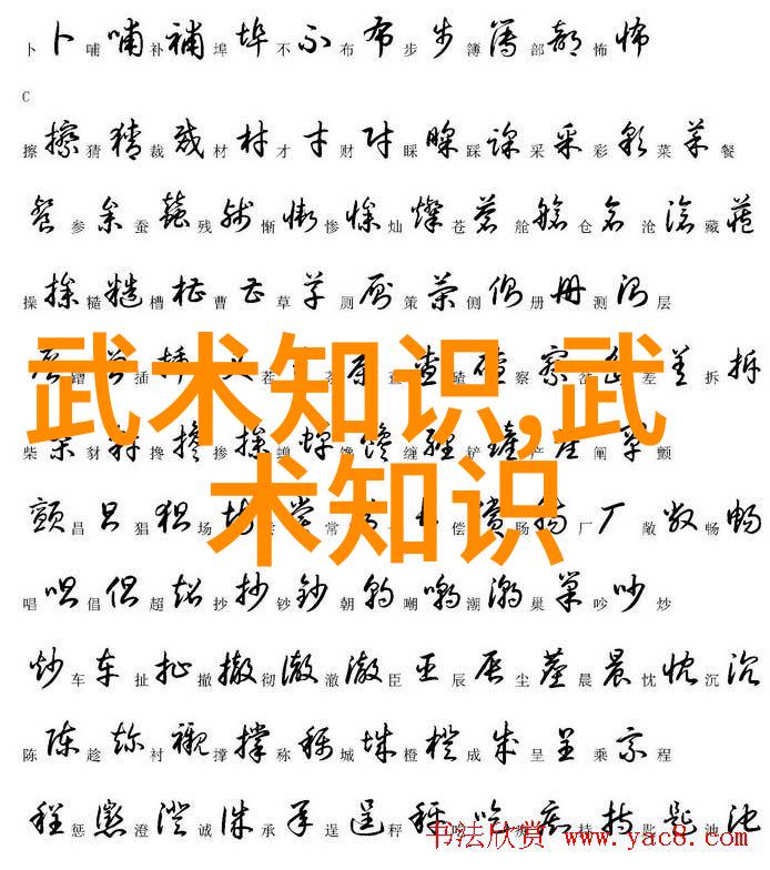 隐世宗师 中华武林中最神秘的绝学大全