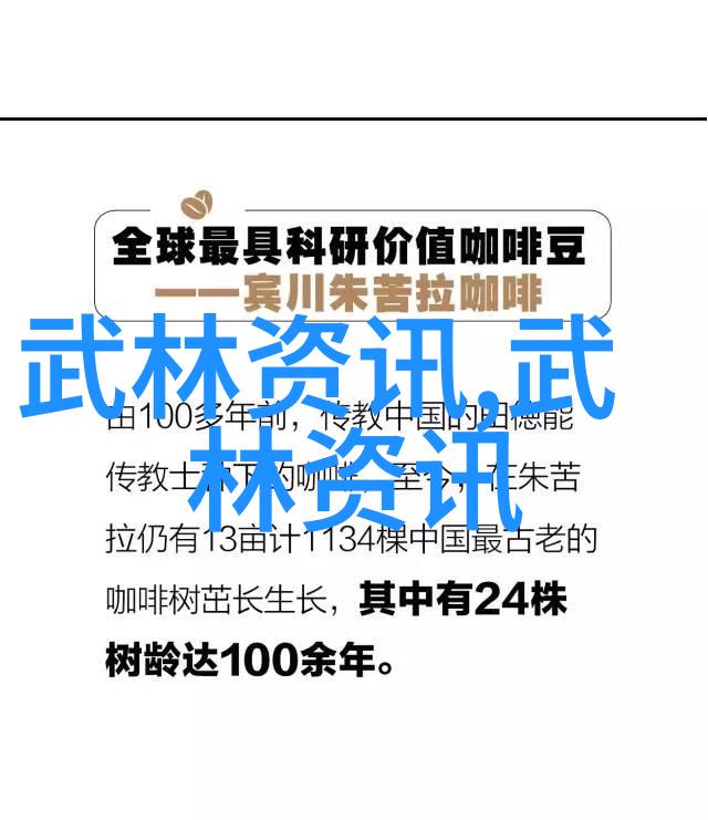 古代武功秘籍天罡剑谱之谜