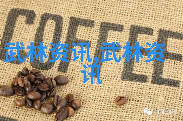 武林门派全览揭秘千年传承的修炼之路
