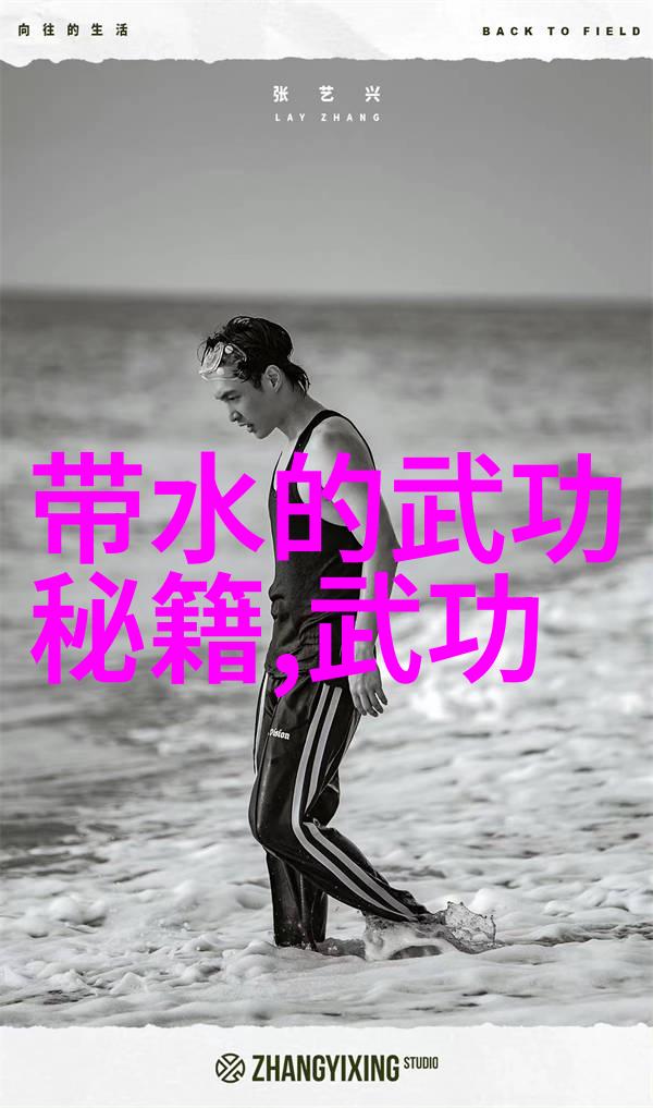 笑傲江湖中有哪些重要的内功心法和外家拳式呢