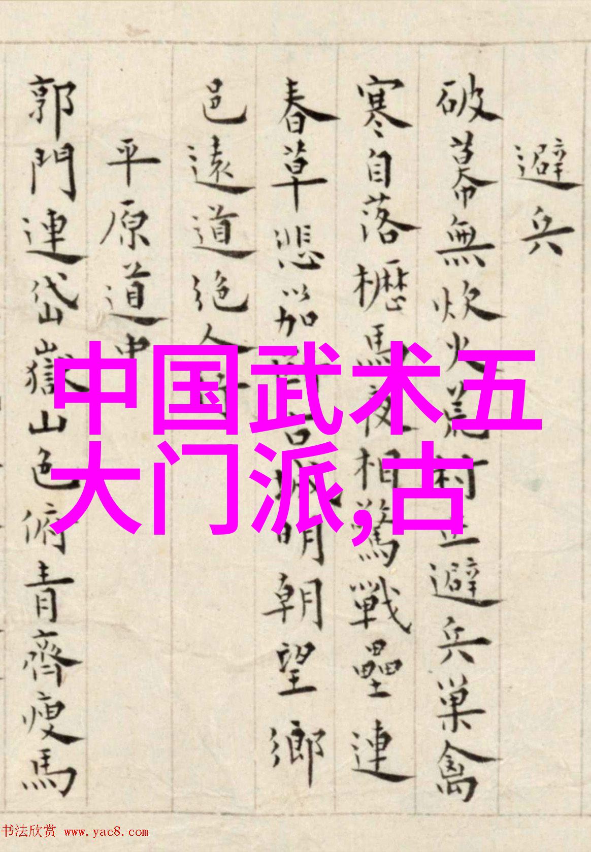 武术活动名称大全 - 中华武林盛世武术活动的丰富多彩