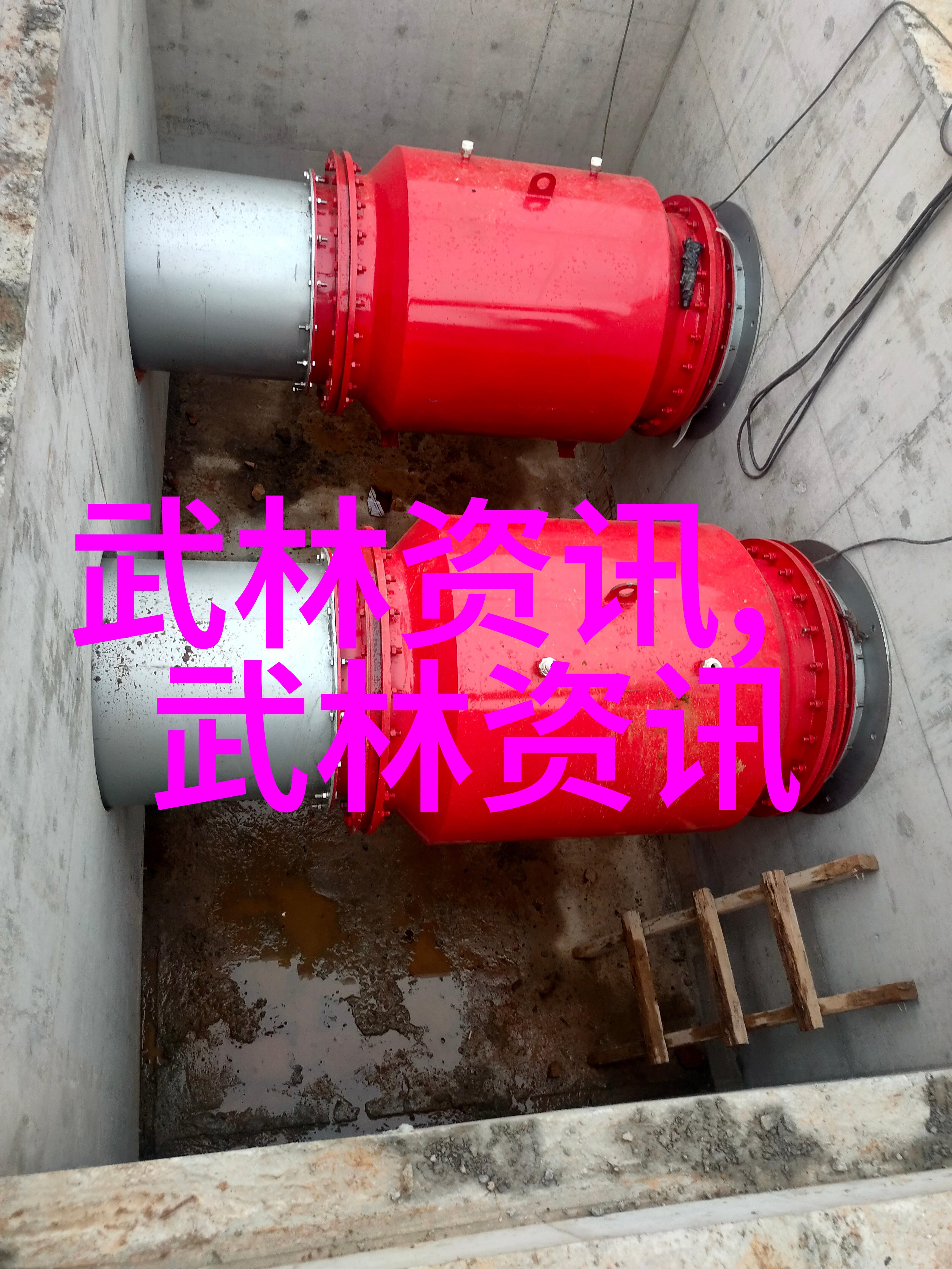 咖啡因健体小秘方让脂肪燃烧如同补剂一般自然而然