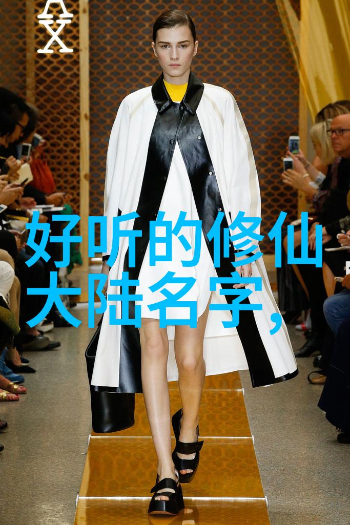 从零到英雄我如何用一本书和一把伞自学了五门武术