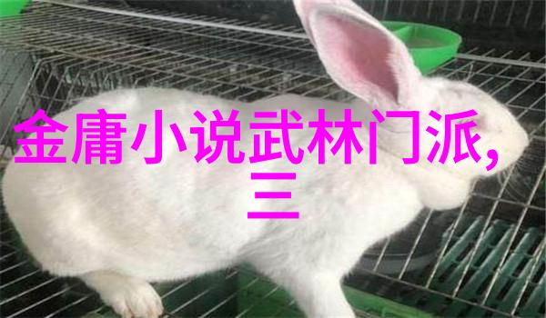 武林绝学重构武當龍門傳人的传奇生涯